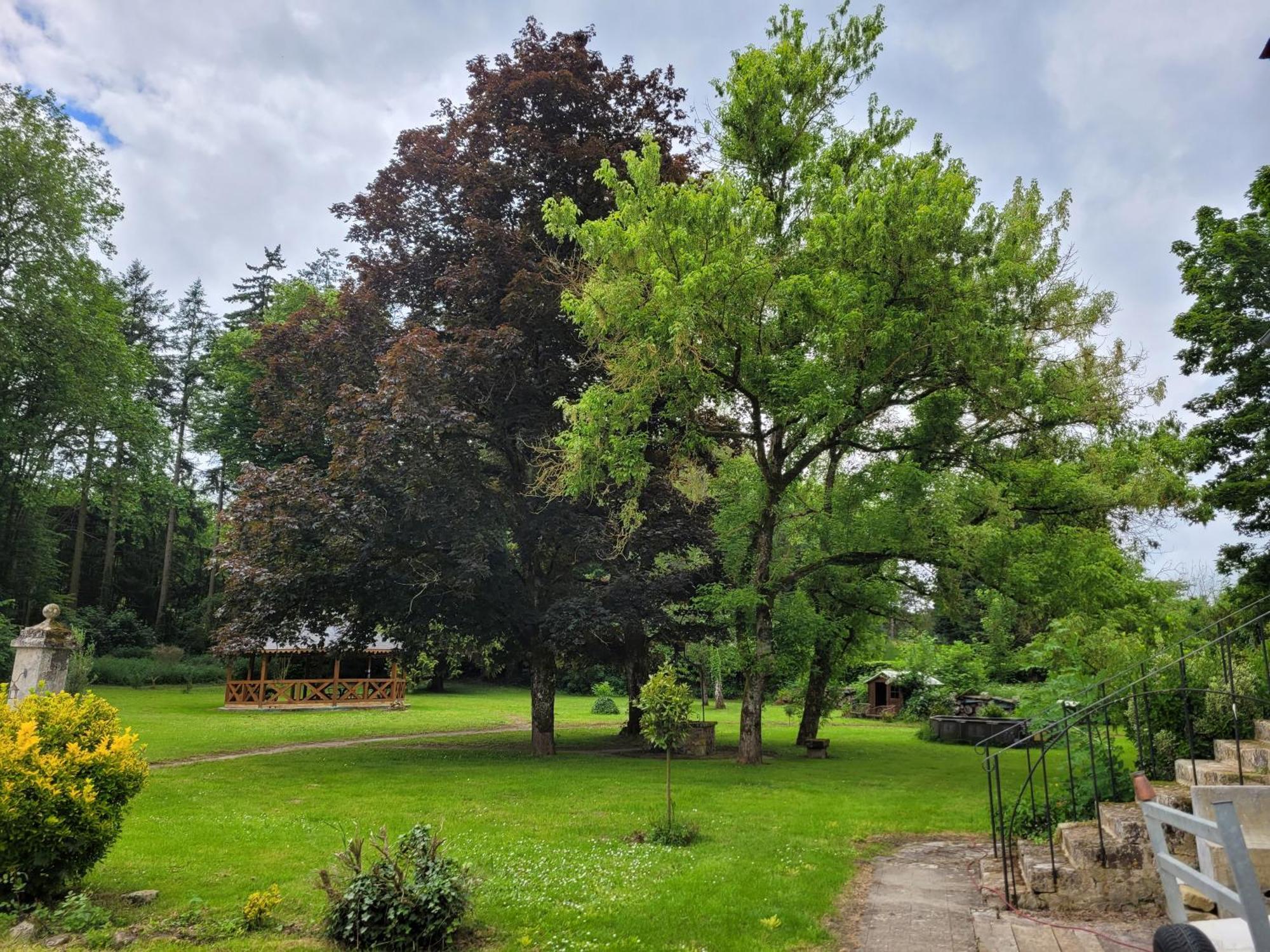 Le Manoir Paradi Presles-et-Thierny Exterior foto